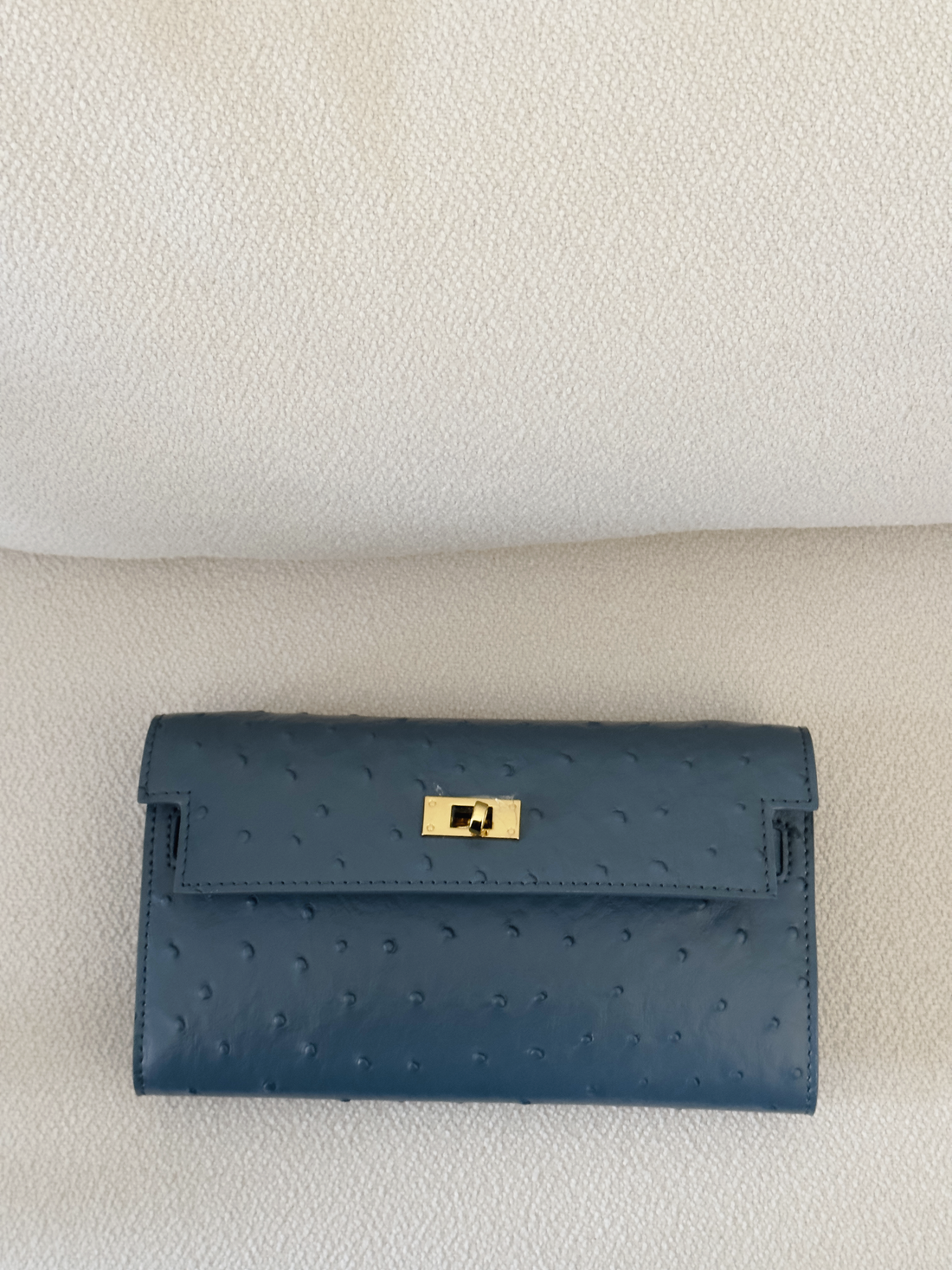 Ostrich clutch- blue