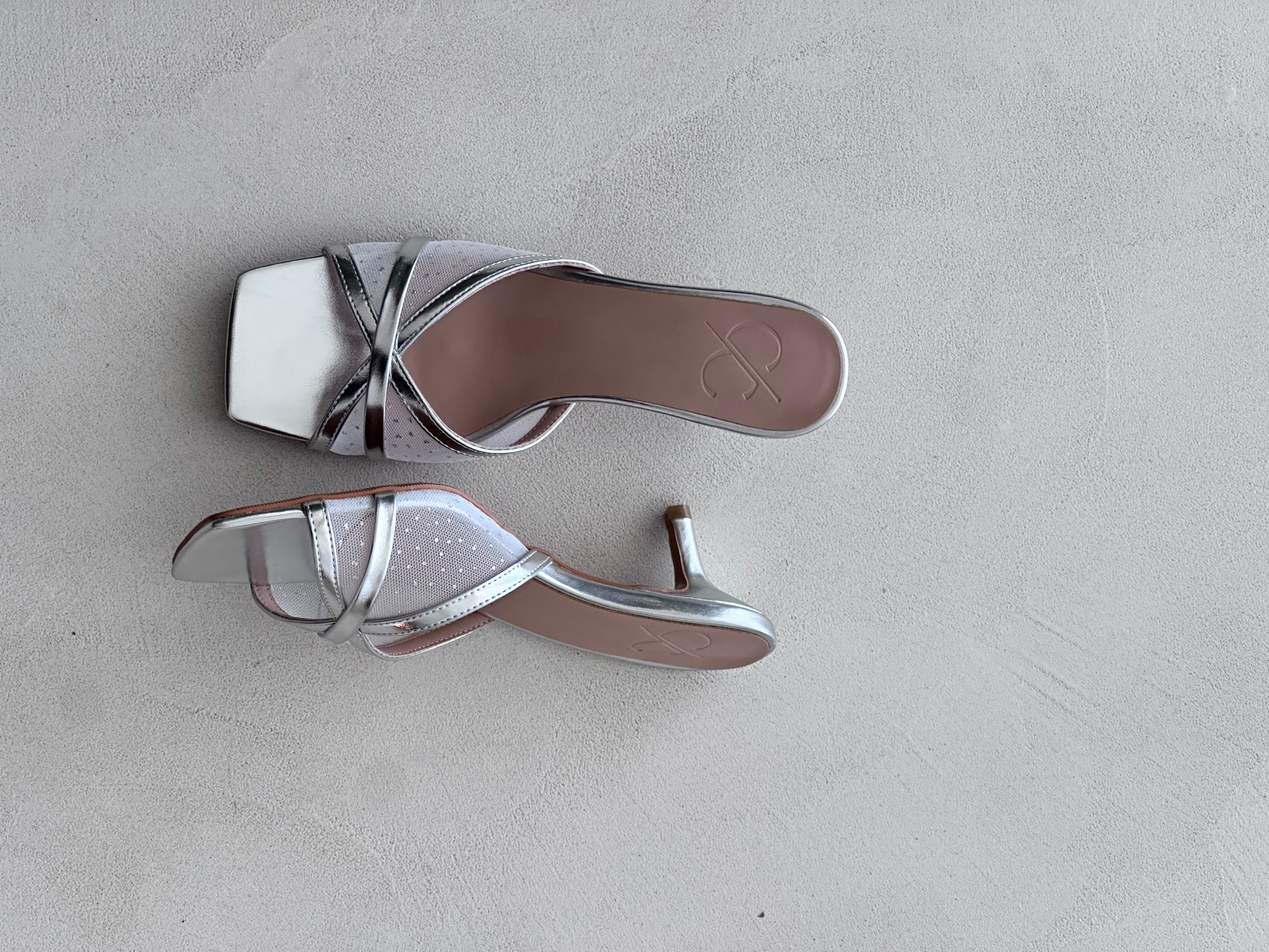 Pair of silver high-heeled shoes on a light gray background