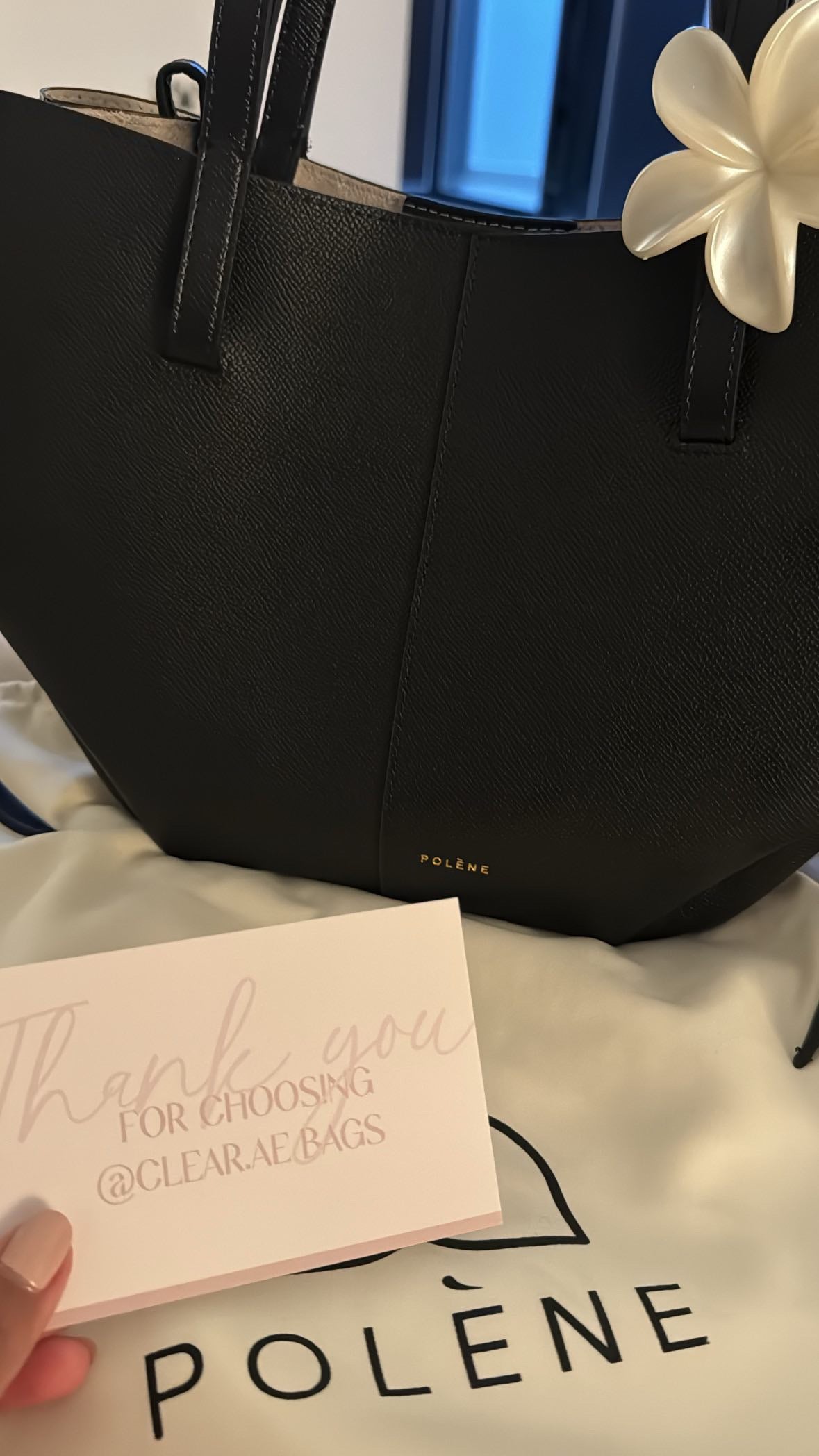 Polen Mini Bag in Black – Luxury Mini Bag UAE | Clear UAE
