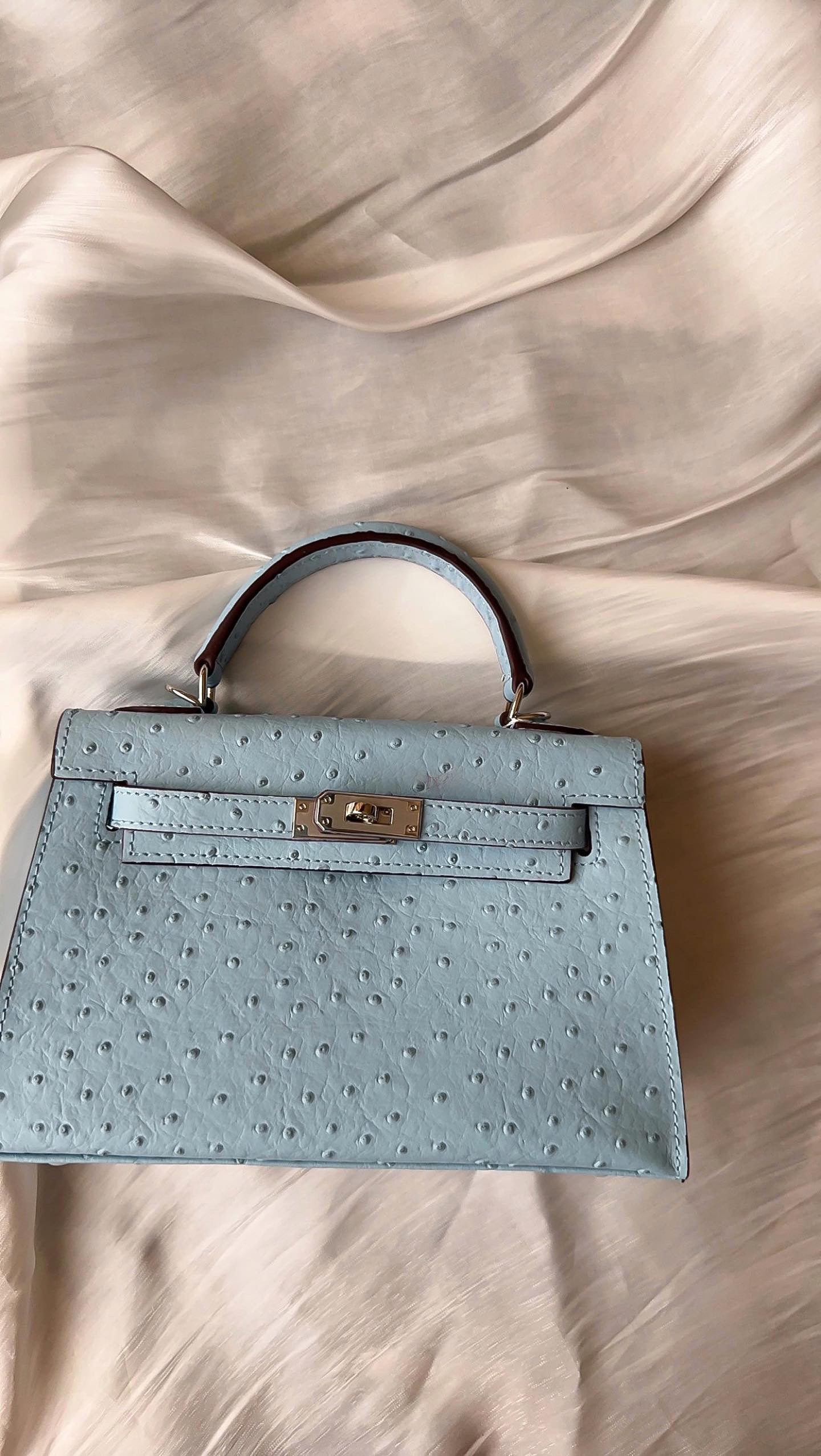 Ostrich Bag Baby Blue Handle Detail - Exotic Leather Bag | Clear UAE
