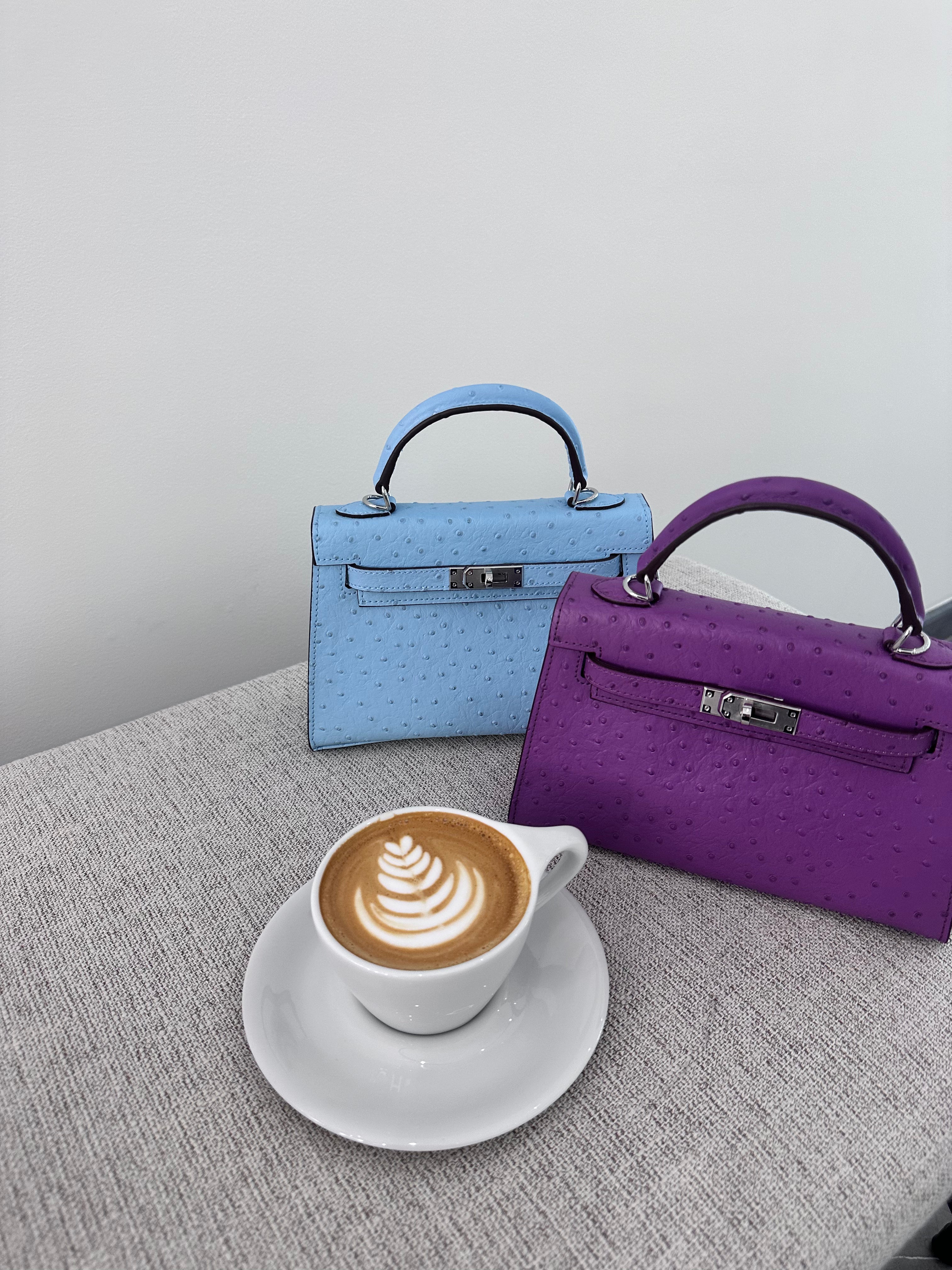 Ostrich Bag Baby Blue Handle Detail - Exotic Leather Bag | Clear UAE
