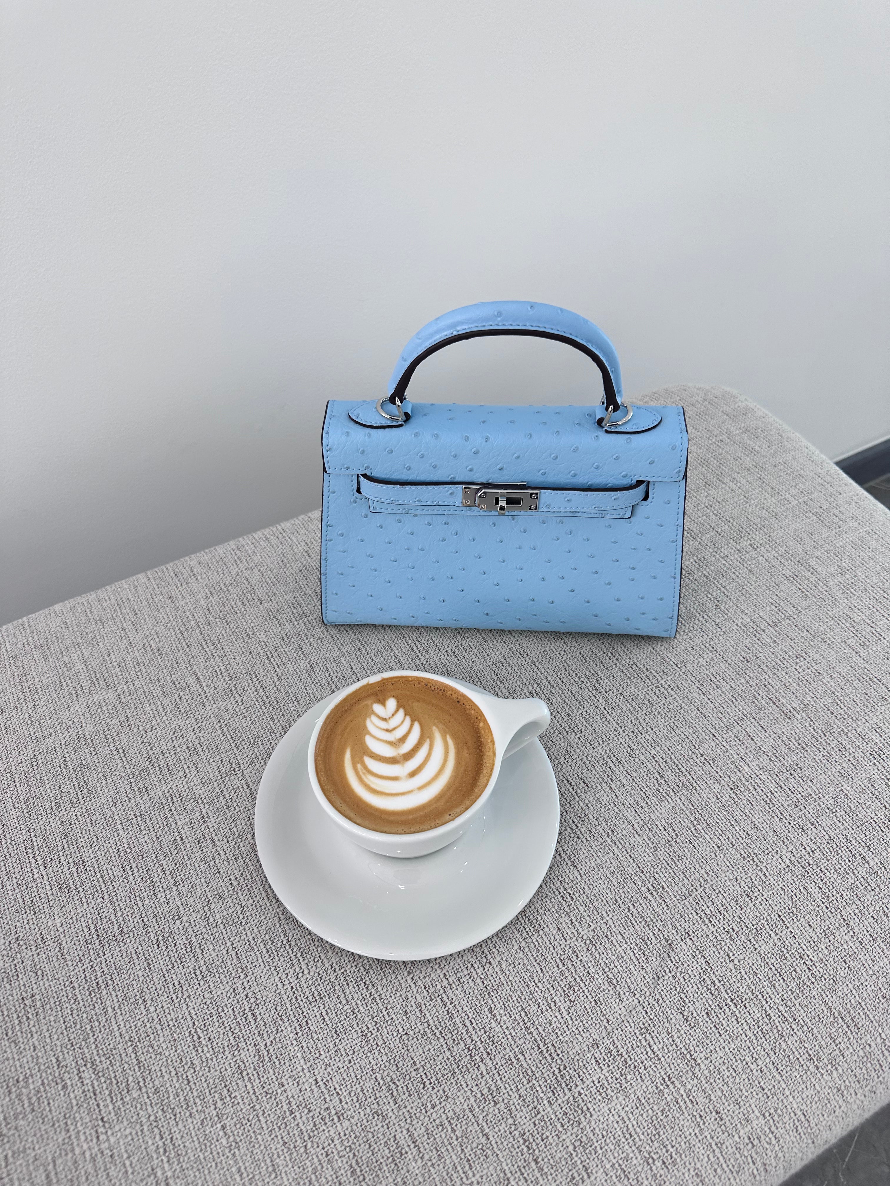 Ostrich Bag Baby Blue Handle Detail - Exotic Leather Bag | Clear UAE
